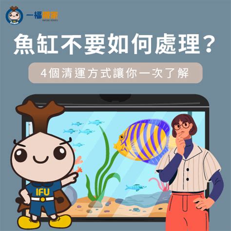 不要的魚缸怎麼辦|魚缸處理難題全解